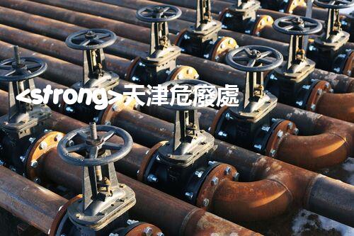 <strong>天津危廢處理企業(yè)電話危險廢棄物處理的專業(yè)之道？</strong>